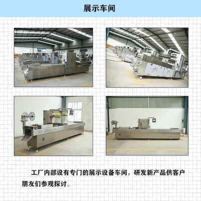 DZ-520光電器件 技術(shù)特性、應(yīng)用領(lǐng)域與市場(chǎng)前景分析
